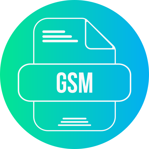 GSM Module