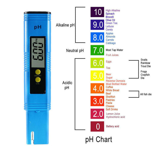 Digital LCD PH Meter